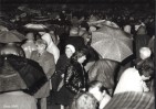 Fotogaléria