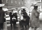 Fotogaléria