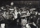 Fotogaléria