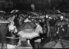 Fotogaléria